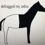 defragged zebra